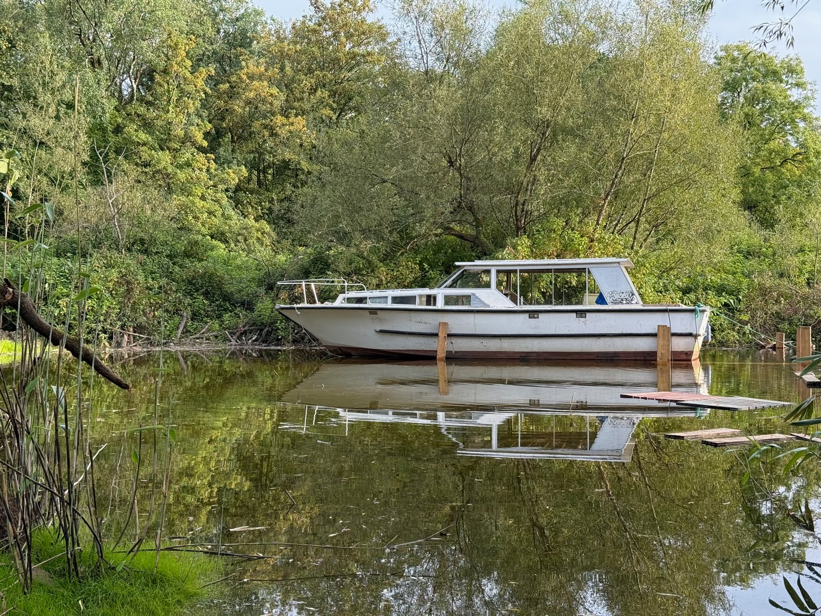 Boat Trip to Killaloe / back from Killaloe / around Lough Derg
