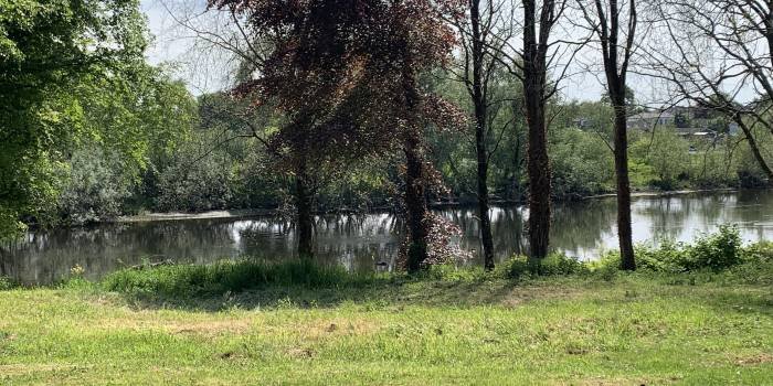 The Shannon River House Rooms