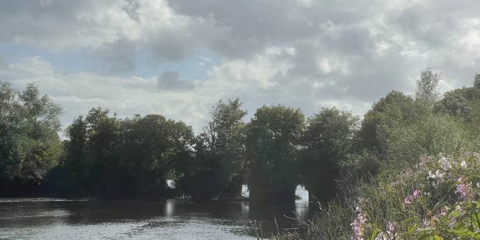 The Shannon River House Rooms